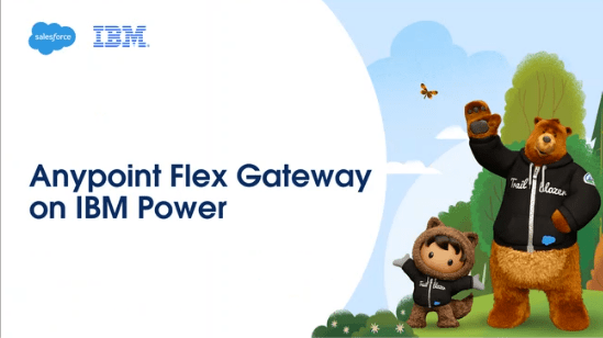 Accelerating Digital Transformation: MuleSoft Anypoint Flex Gateway Comes to IBM Power